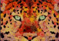 _HN47474-cr